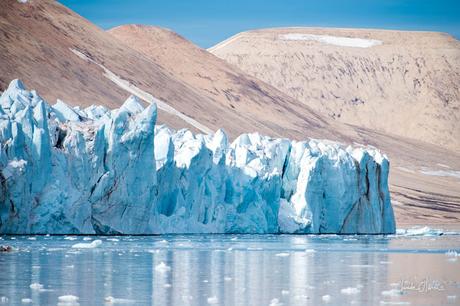 Expédition polaire au Svalbard: L'ours et ses petits et le glacier d'Etonbreen !