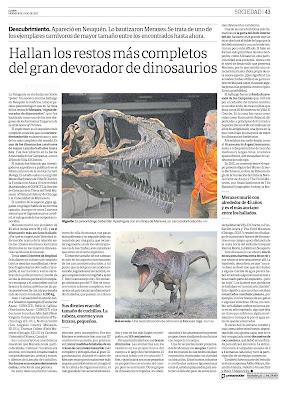 On a découvert un nouveau dinosaure en Argentine… « Vivant ? », comme demandait quelqu’un (1). Non, « carnivore » répond-on [Actu]