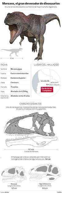 On a découvert un nouveau dinosaure en Argentine… « Vivant ? », comme demandait quelqu’un (1). Non, « carnivore » répond-on [Actu]
