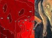 Cette discrète colère batave