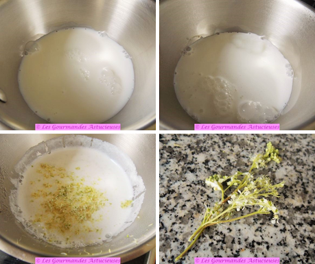 Crème à la Reine des près (Vegan)