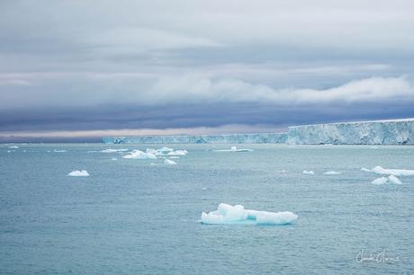 Expédition polaire au Svalbard: notre rencontre avec la calotte polaire ! Expédition polaire au Svalbard: notre rencontre avec la calotte polaire !