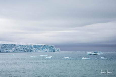 Expédition polaire au Svalbard: notre rencontre avec la calotte polaire !