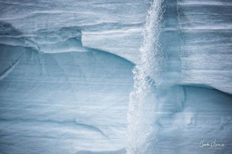 Expédition polaire au Svalbard: notre rencontre avec la calotte polaire !