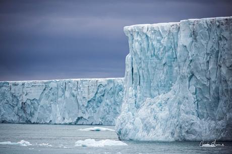 Expédition polaire au Svalbard: notre rencontre avec la calotte polaire ! Expédition polaire au Svalbard: notre rencontre avec la calotte polaire !