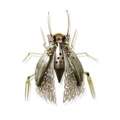 Insectes recyclées de Mark Oliver