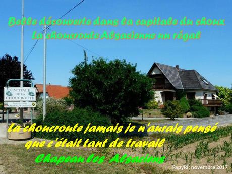 La France - La choucroute d'Alsace