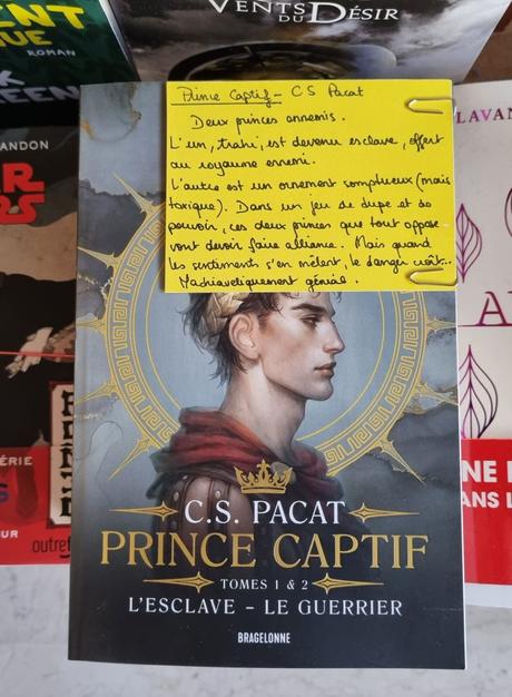 Prince Captif