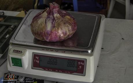 Fête de l'Oignon à Toulouges