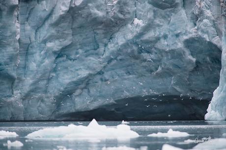 Expédition polaire au Svalbard: le glacier de Samarin et nos au revoir à cette région incroyable!