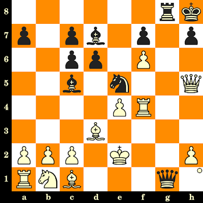 Magnus Carlsen, le champion du monde d’échecs qui ne veut plus l’être