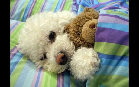 Divers- On ne voit pas ça tous les jours - 3