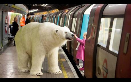Divers- On ne voit pas ça tous les jours - 3