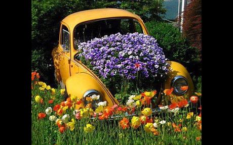 Divers- On ne voit pas ça tous les jours - 3