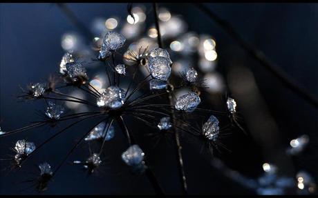 Divers- On ne voit pas ça tous les jours - 3