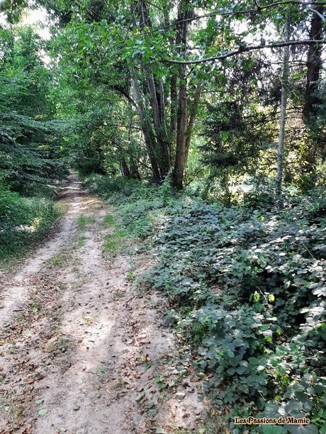 20220714_183129~2  BIS