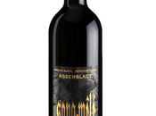 Suisse Terrasses Lavaux