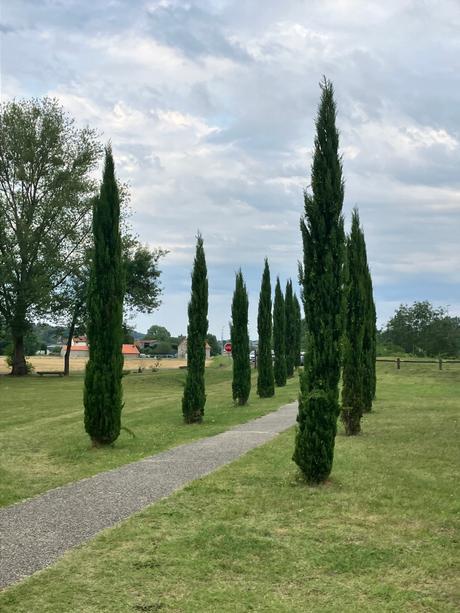L’Art à la Chapelle de Noyers-sur-cher 29 Juillet au 4 Août 2022.