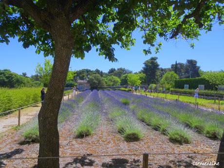 Sur les Pas de Vincent van Gogh (1) Sur les Pas de Vincent van Gogh (1)