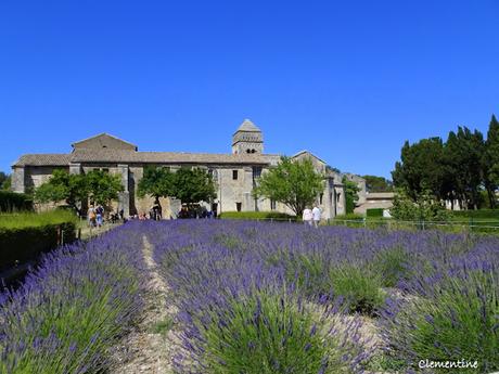 Sur les Pas de Vincent van Gogh (1) Sur les Pas de Vincent van Gogh (1)