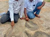 rainures néolithiques vieilles 4000 découvertes dans Telangana Inde