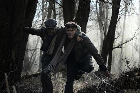 [CRITIQUE] : Le rapport Auschwitz