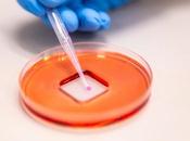 COVID-19 revêtement pulvérisation fait bouclier contre virus