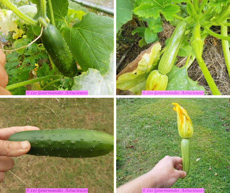 Gaspacho concombre-courgette (Vegan)