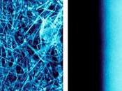 COVID-19 spray nanofils cuivre pour décontaminer surfaces