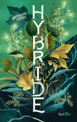 • Bilan du mois de Juillet •