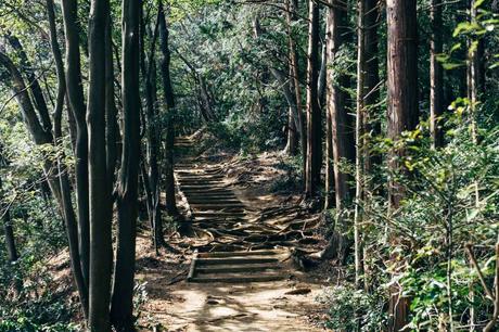 L’évasion secrète de Tokyo : découvrez la vallée Todoroki