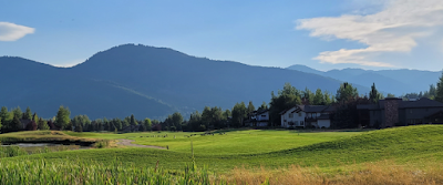 Temps pour les bernaches de retourner au Mexique …