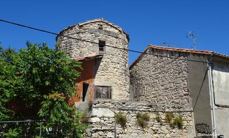 Sur les pas de Vincent van Gogh (2)