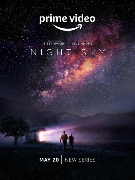 Night Sky (Saison 1, 8 épisodes) : la poésie d'un deuil compliqué