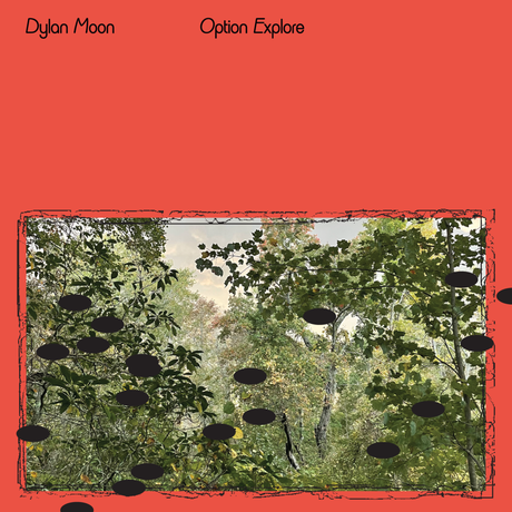 Dylan Moon ‘ Option Explore