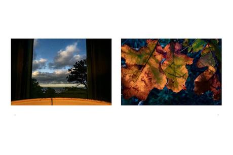 ALEX WEBB AND REBECCA NORRIS WEBB – WAVES