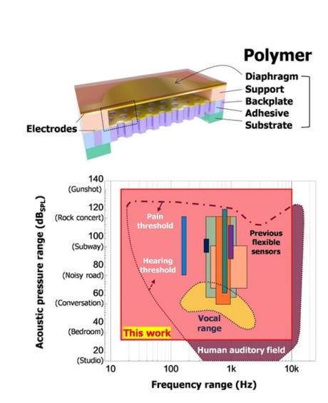 Le nouveau capteur utilise des matériaux polymères plus flexibles et peut être fixé sur de grandes surfaces du corps ou même sur le doigt. (Visuel POSTECH)