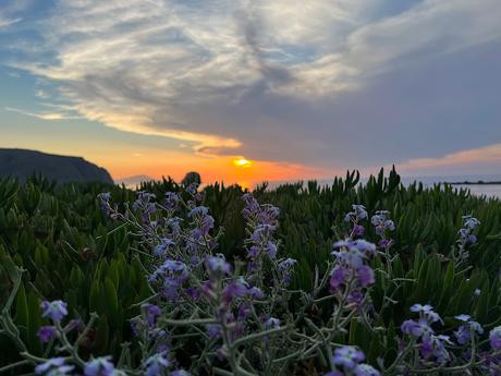 Une semaine à Milos en Grèce Une semaine à Milos en Grèce