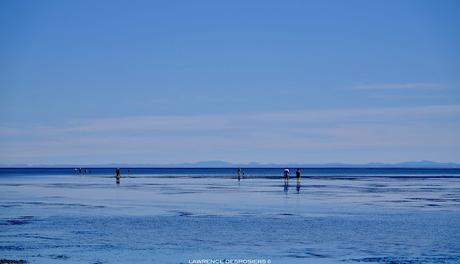 Il fait chaud, voici un peu de mer…