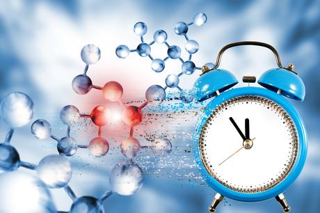 Les horloges circadiennes jouent un rôle clé dans la croissance des cellules graisseuses (Visuel Adobe Stock 308086464)