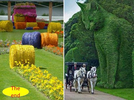 Canada - Montréal - Mosaïculture