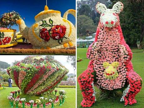 Canada - Montréal - Mosaïculture