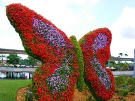 Canada - Montréal - Mosaïculture