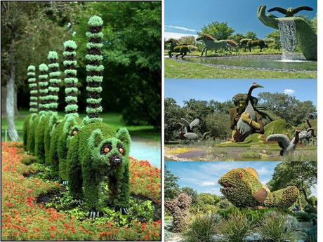 Canada - Montréal - Mosaïculture