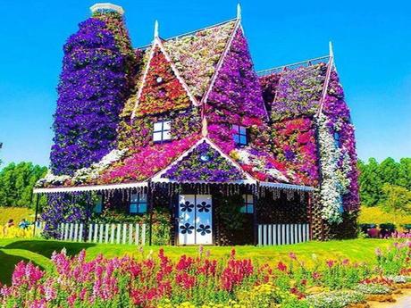 Canada - Montréal - Mosaïculture