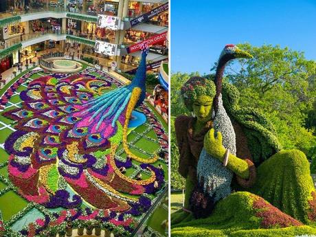 Canada - Montréal - Mosaïculture