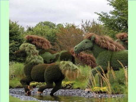 Canada - Montréal - Mosaïculture