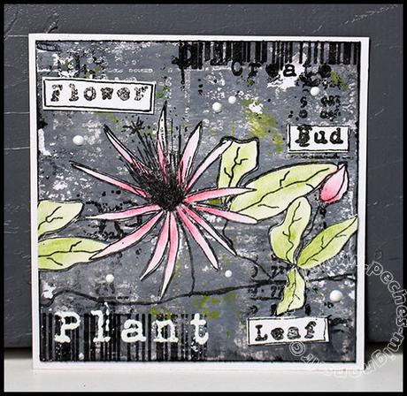 Thrinchie challenge #12 – Botaniques