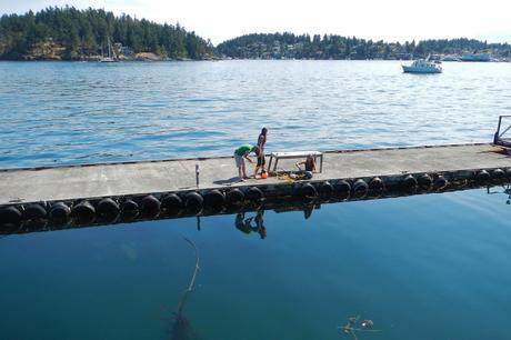 Écoute ça?  La bioacoustique a son heure, mais la technologie doit encore être peaufinée