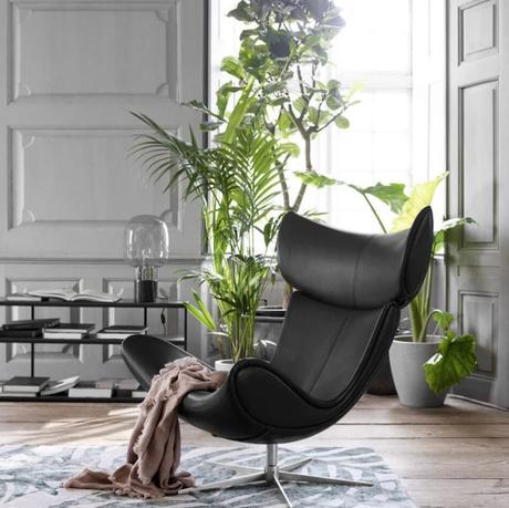 salon lumineux parquet bois plante verte fauteuil rond icône design cuir noir